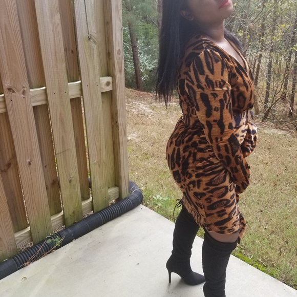 Leopard Velvet Dress - Picture 5 of 8
